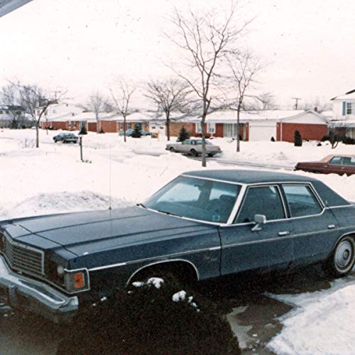 HIS NAME IS ALIVE - RETURN TO NEVER HOME RECORDINGS 1979 1986 VOLUME 2 (VINYL)