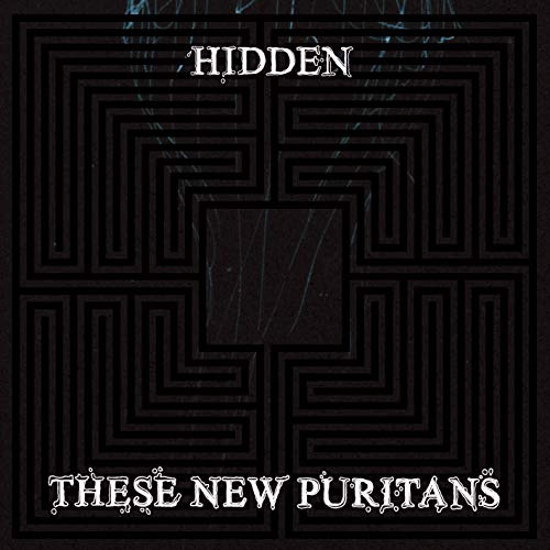 THESE NEW PURITANS - HIDDEN (VINYL)