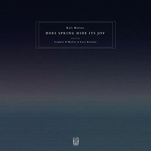 MALONE, KALI / O'MALLEY, STEPHEN / RAILTON, LUCY - DOES SPRING HIDE ITS JOY (VINYL)
