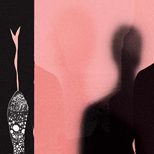 H. HAWKLINE - IN THE PINK OF CONDITION (VINYL)