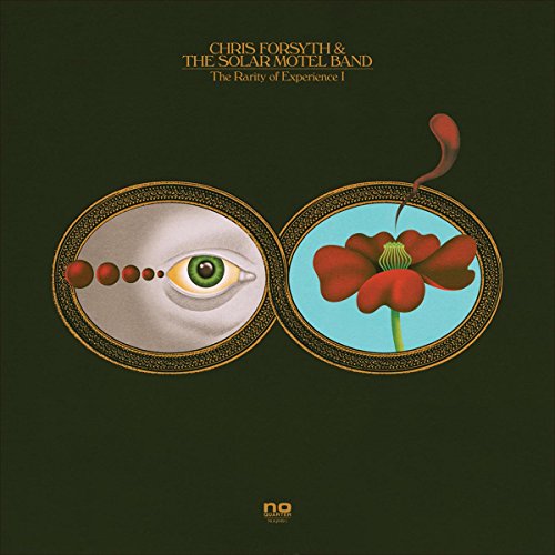 CHRIS FORSYTH & THE SOLAR MOTEL BAND - THE RARITY OF EXPERIENCE (VINYL)