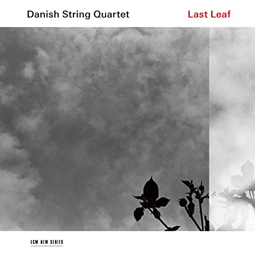 DANISH STRING QUARTET - LAST LEAF (CD)