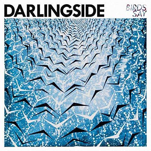 DARLINGSIDE - BIRDS SAY (CD)