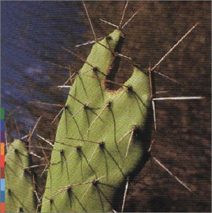 ROSSY - ISLAND OF GHOSTS