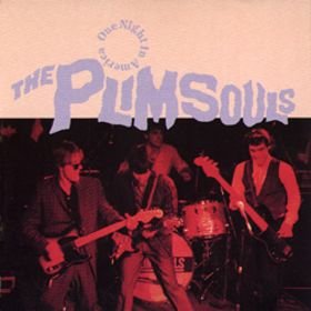 PLIMSOULS - ONE NIGHT IN AMERICA