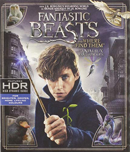 FANTASTIC BEASTS & WHERE TO FIND THEM - BLU-4K-INC. BLU COPY