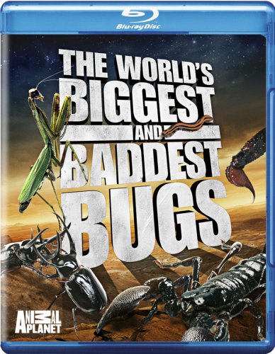 WORLD'S BIGGEST & BADDEST BUGS - BLU-ANIMAL PLANET