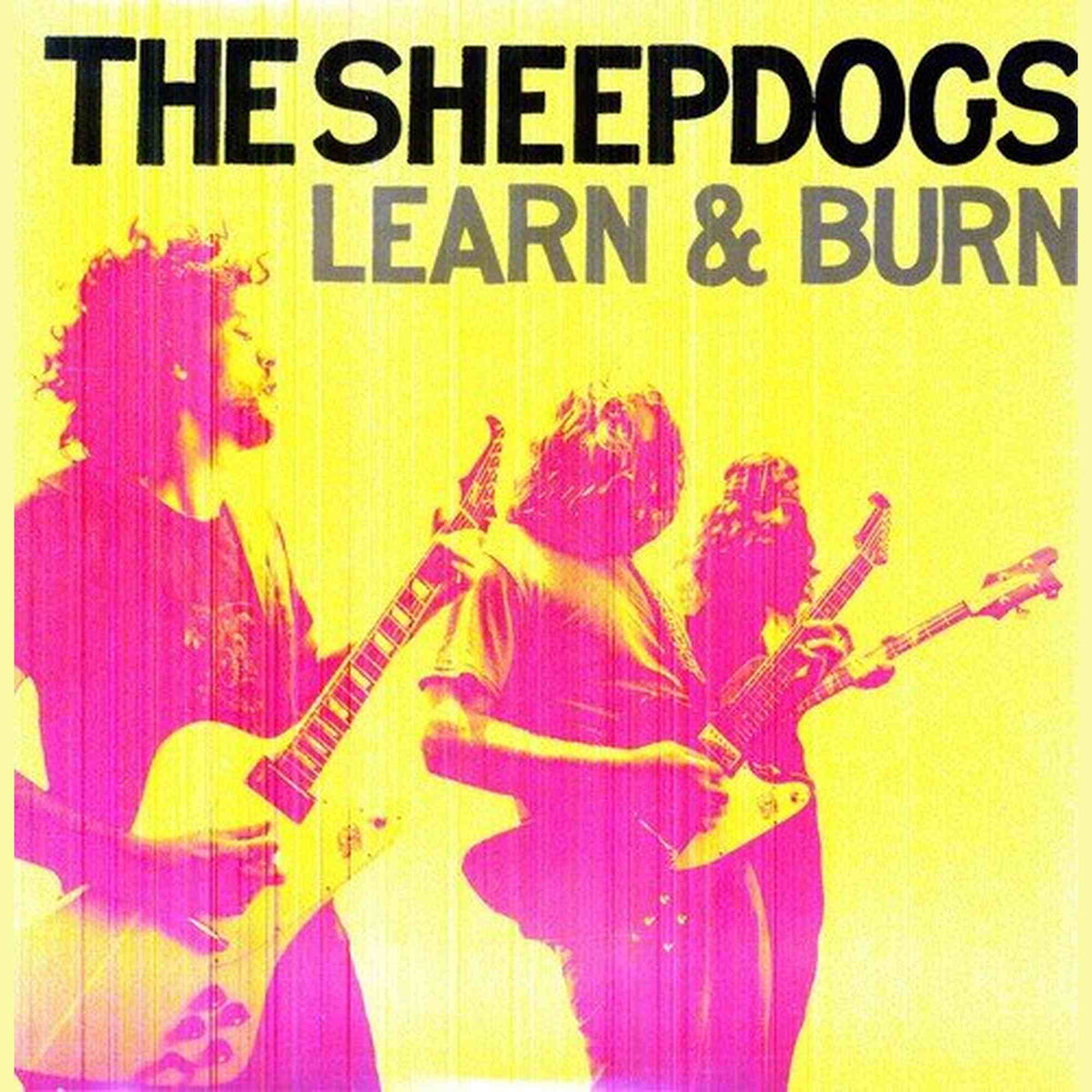 THE SHEEPDOGS - LEARN & BURN (VINYL)