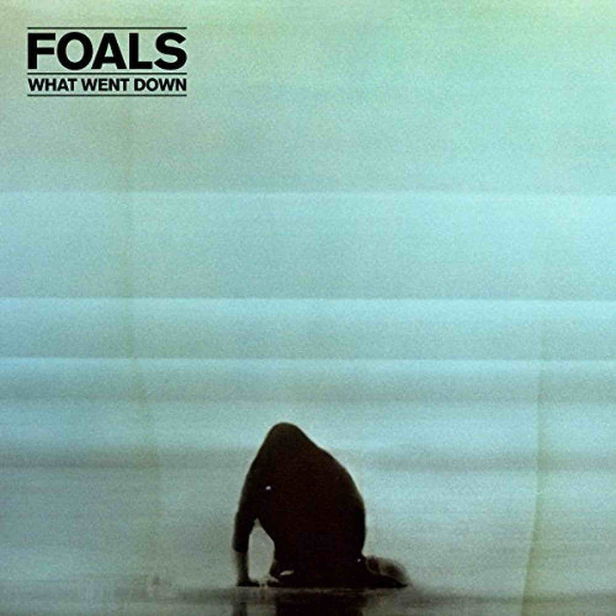 FOALS - WHAT WENT DOWN (VINYL)
