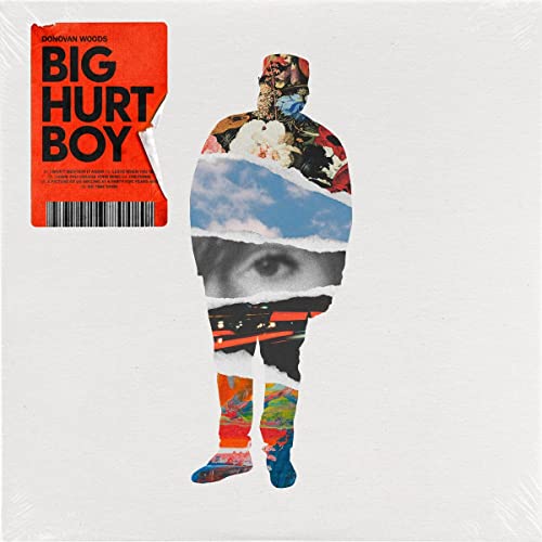 DONOVAN WOODS - BIG HURT BOY (CD)