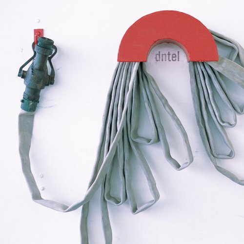 DNTEL - DUMB LUCK (CD)