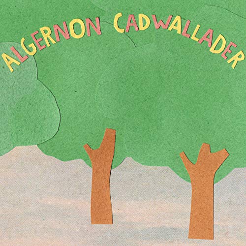 ALGERNON CADWALLADER - SOME KIND OF CADWALLADER (CD)