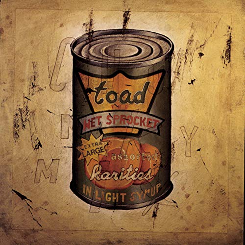 TOAD THE WET SPROCKET - IN LIGHT SYRUP