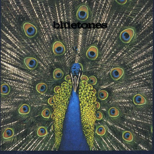 BLUETONES - EXPECTING TO FLY