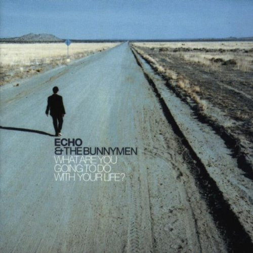 ECHO & THE BUNNYMEN  - WHAT ARE YOU GOING TO DO WITH YOUR LIFE?