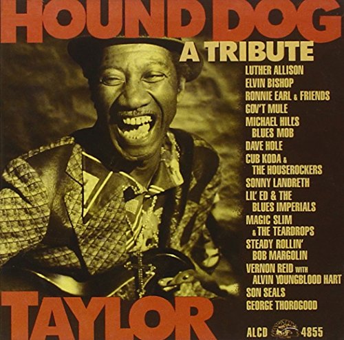 HOUND DOG TAYLOR-TRIBUTE - HOUND DOG TAYLOR-TRIBUTE