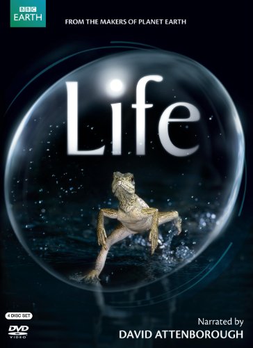 LIFE (ORIGINAL UK VERSION)