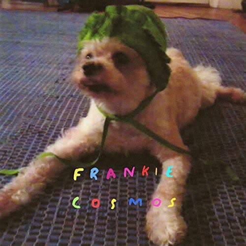 FRANKIE COSMOS - ZENTROPY (VINYL)