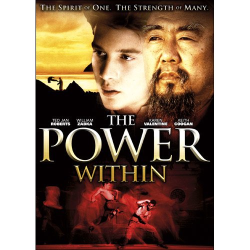 POWER WITHIN  - DVD