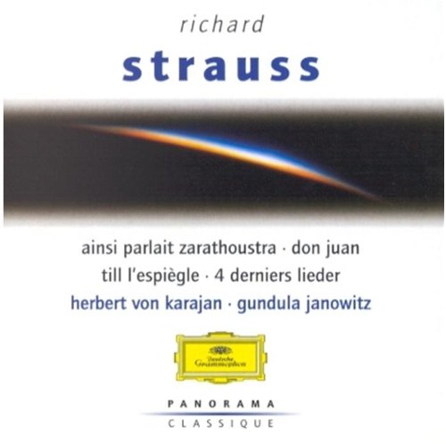 STRAUSS, RICHARD - PANORAMA (DEUTSCHE GRAMMOPHON)(2CDS)