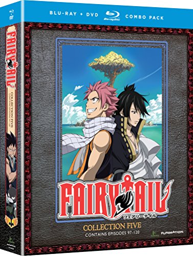 FAIRY TAIL: COLLECTION FIVE [BLU-RAY + DVD]