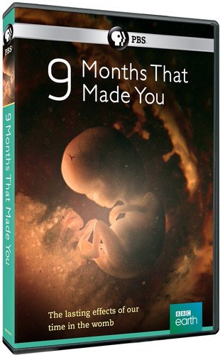 9 MONTHS THAT MADE YOU [IMPORT]