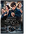 FANTASTIC BEASTS & WHERE TO FIND THEM  - DVD