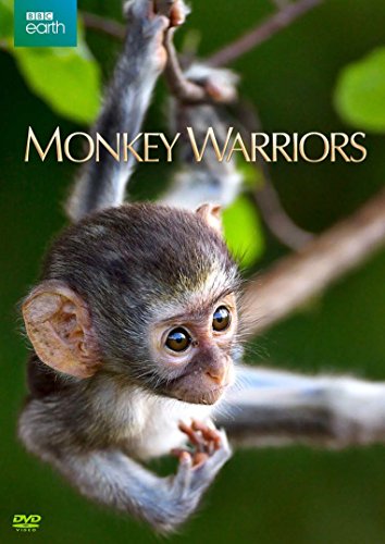 MONKEY WARRIORS