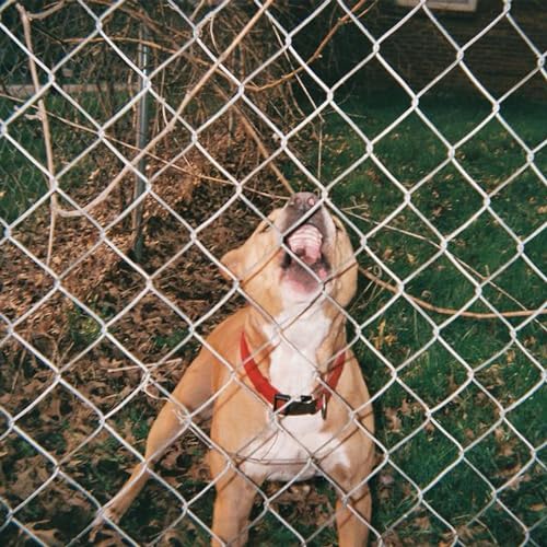 KNOCKED LOOSE - POP CULTURE (CD)