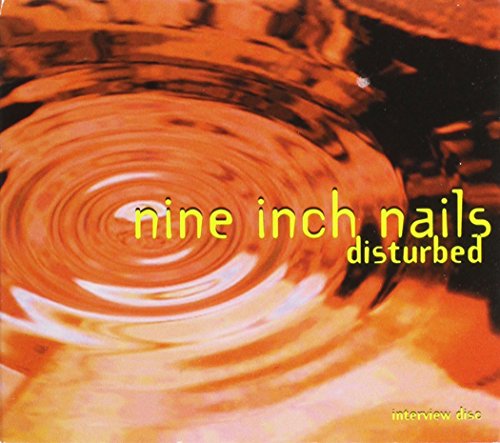 NINE INCH NAILS - DISTURBED