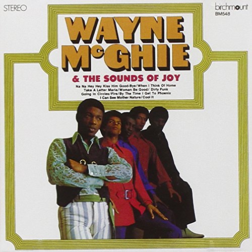 MCGHIE, WAYNE - SOUNDS OF JOY