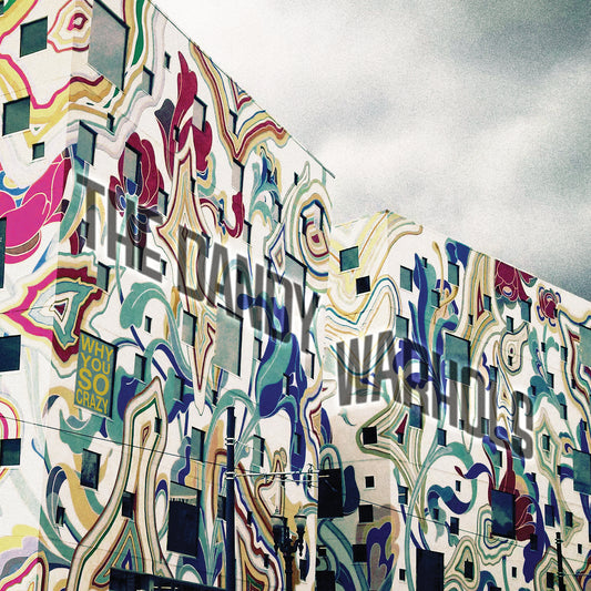 DANDY WARHOLS  - WHY YOU SO CRAZY?