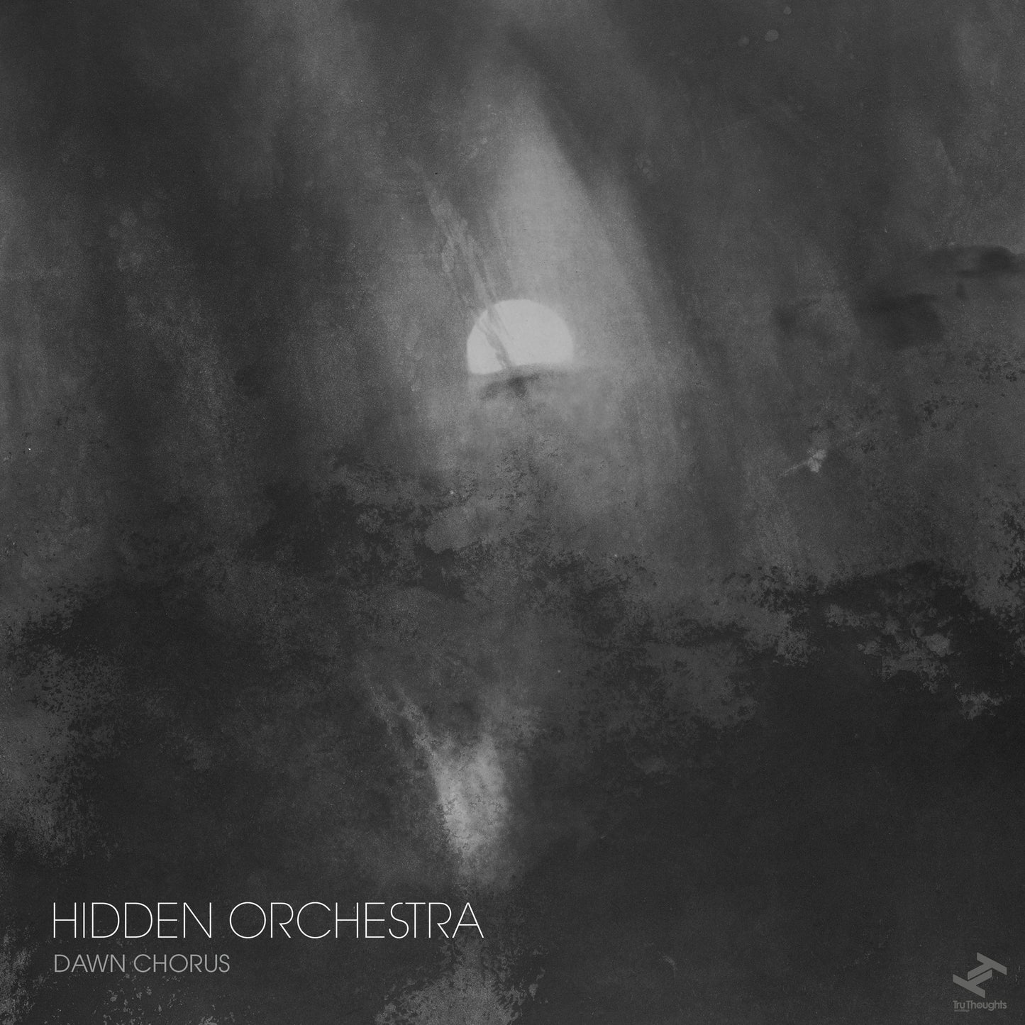 HIDDEN ORCHESTRA  - DAWN CHORUS
