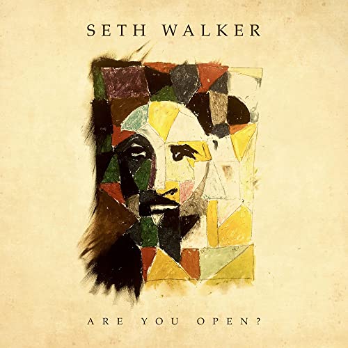 SETH WALKER - ARE YOU OPEN? (CD)