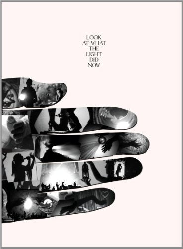 FEIST - DVD-LOOK AT WHAT THE LIGHT DID NOW (W/DV