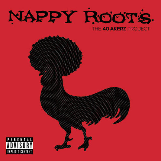 NAPPY ROOTS  - 40 AKERZ PROJECT