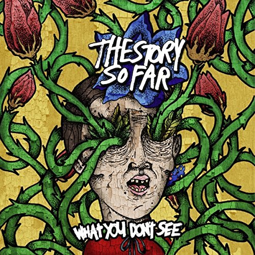 STORY SO FAR - WHAT YOU DON'T SEE