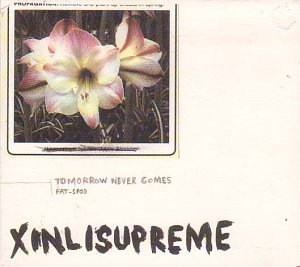 XINLISUPREME - TOMORROW NEVER COMES