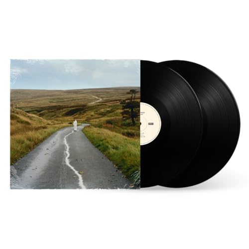 JORDAN RAKEI - THE LOOP (VINYL)