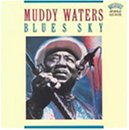 WATERS, MUDDY - BLUES SKY