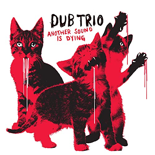 DUB TRIO - ANOTHER SOUND IS DYING (CD)