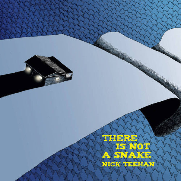 TEEHAN, NICK  - THERE IS NOT A SNAKE