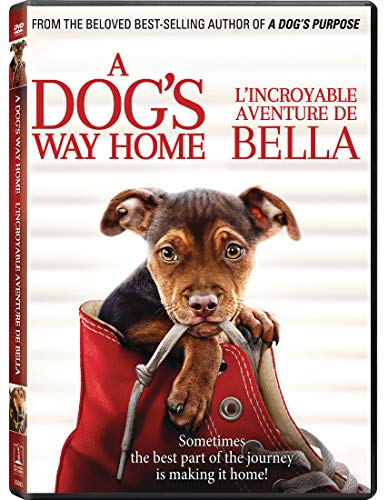 A DOG'S WAY HOME (BILINGUAL)