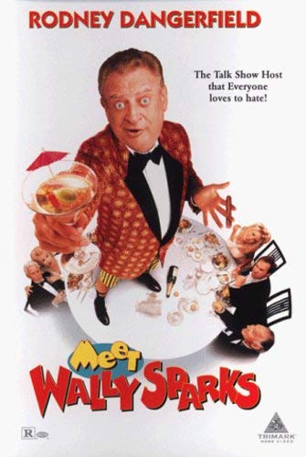 MEET WALLY SPARKS (WIDESCREEN) [IMPORT]