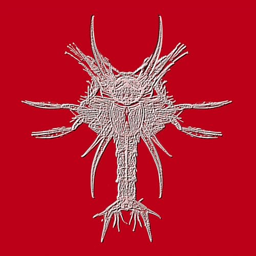 BELI - BELI'S XUV (CD)