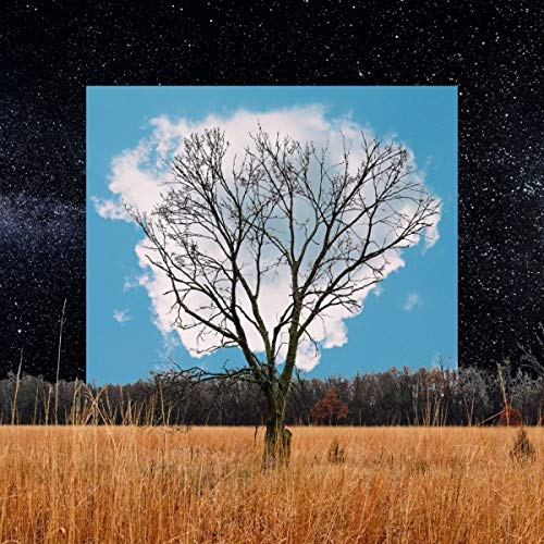 FINK - BLOOM INNOCENT (CD)