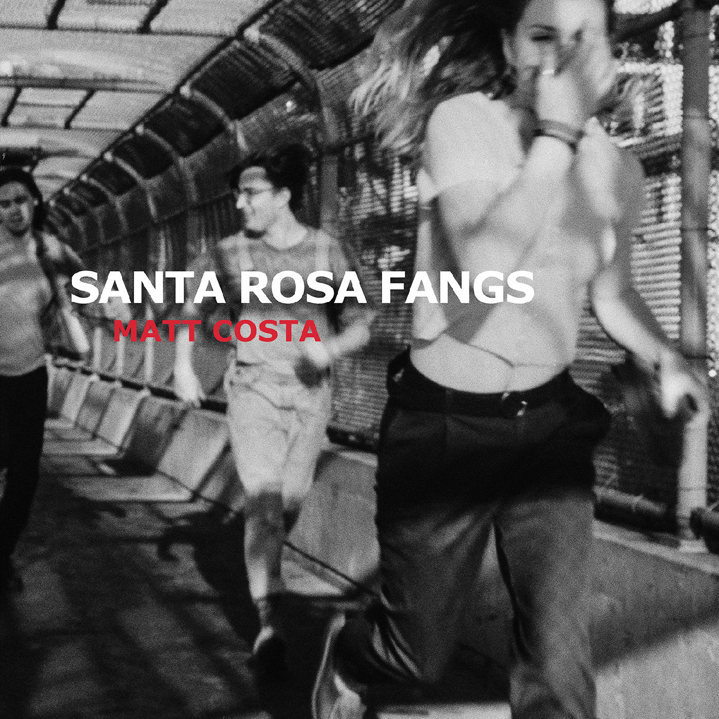 COSTA, MATT - SANTA ROSA FANGS