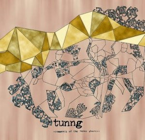 TUNNG  - COMMENTS OF THE INNER CHORUS