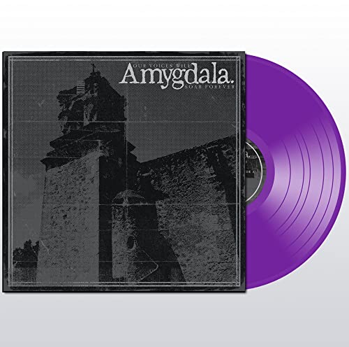 AMYGDALA - OUR VOICES WILL SOAR FOREVER (VINYL)