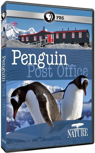 PENGUIN POST OFFICE  - DVD-NATURE (PBS)